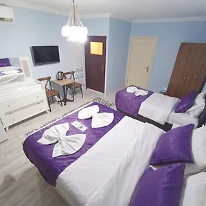 Roozendaal Istambul